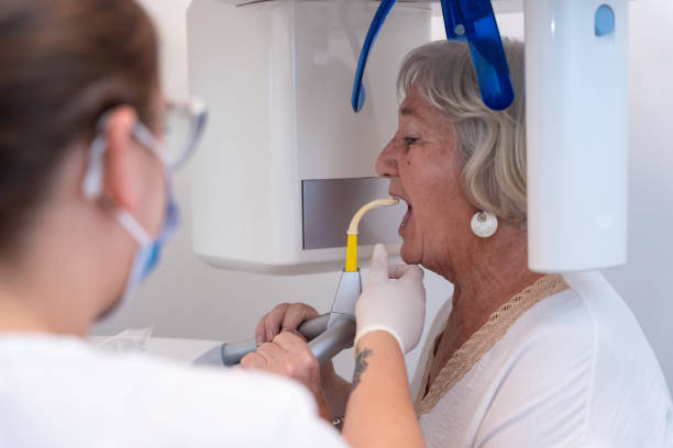 Best Emergency X-Rays and Diagnostics in Rothsville, PA